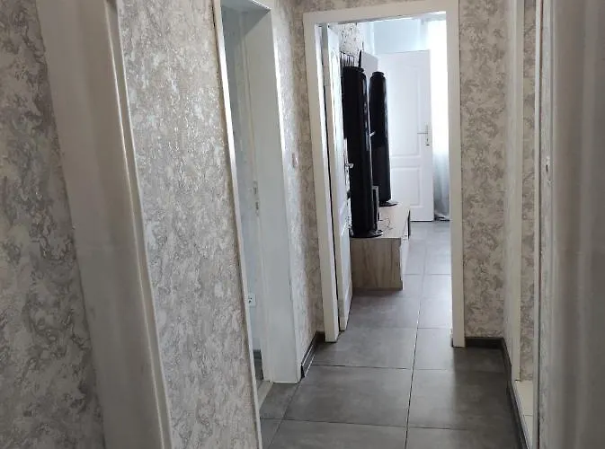 александрови * 帕莫瑞