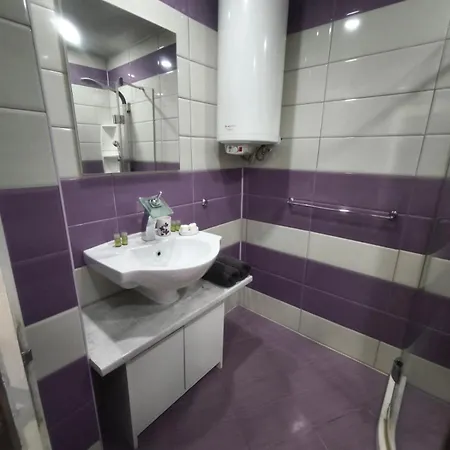 александрови * 포마리